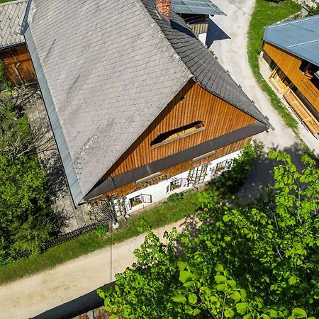 House, Garden And A Green Cat Bled Bagian luar foto