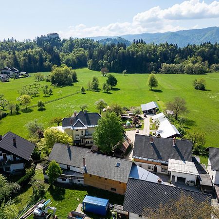 House, Garden And A Green Cat Bled Bagian luar foto