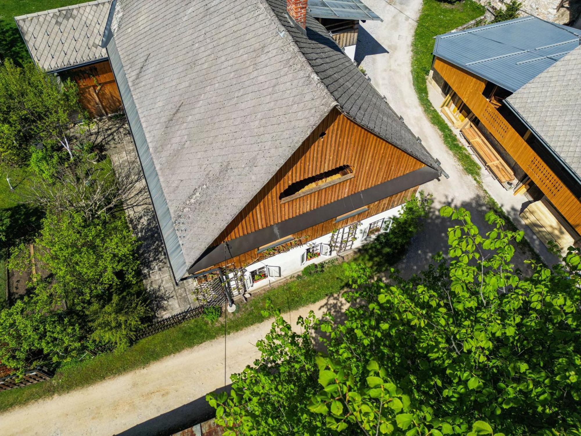 House, Garden And A Green Cat Bled Bagian luar foto
