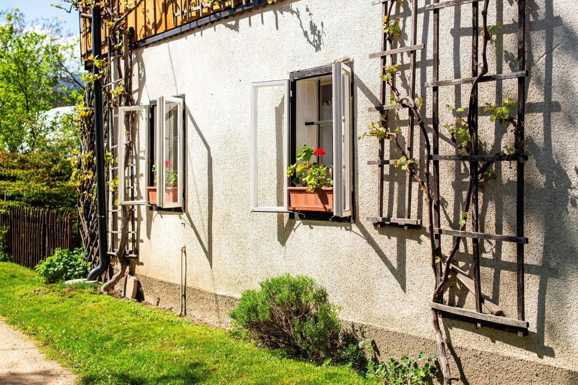House, Garden And A Green Cat Bled Bagian luar foto