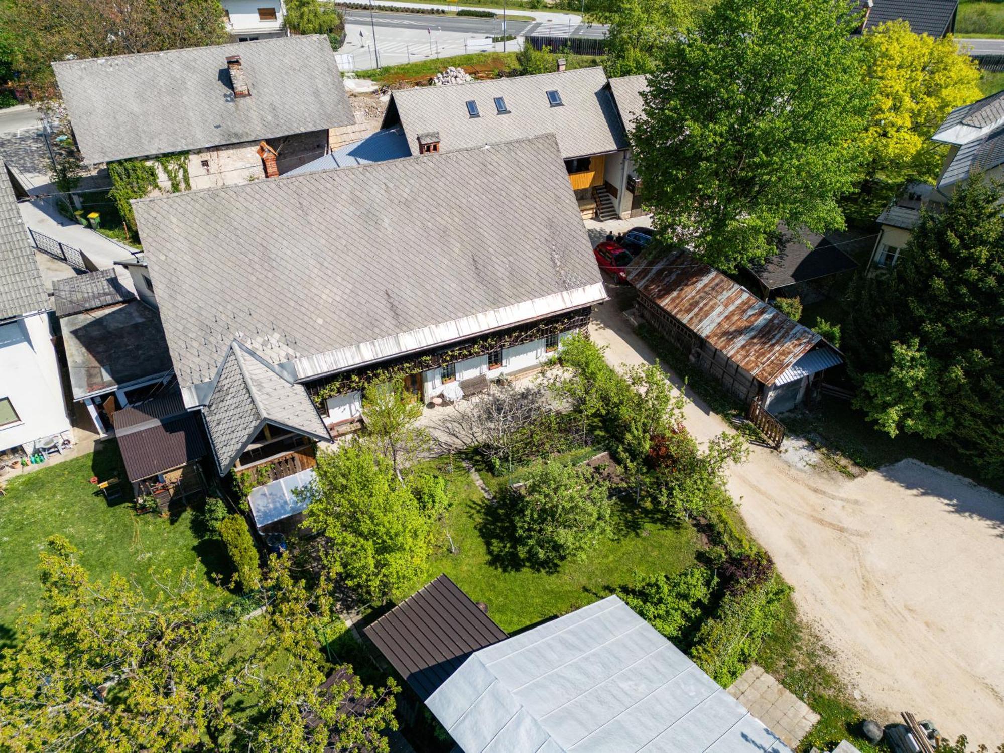 House, Garden And A Green Cat Bled Bagian luar foto