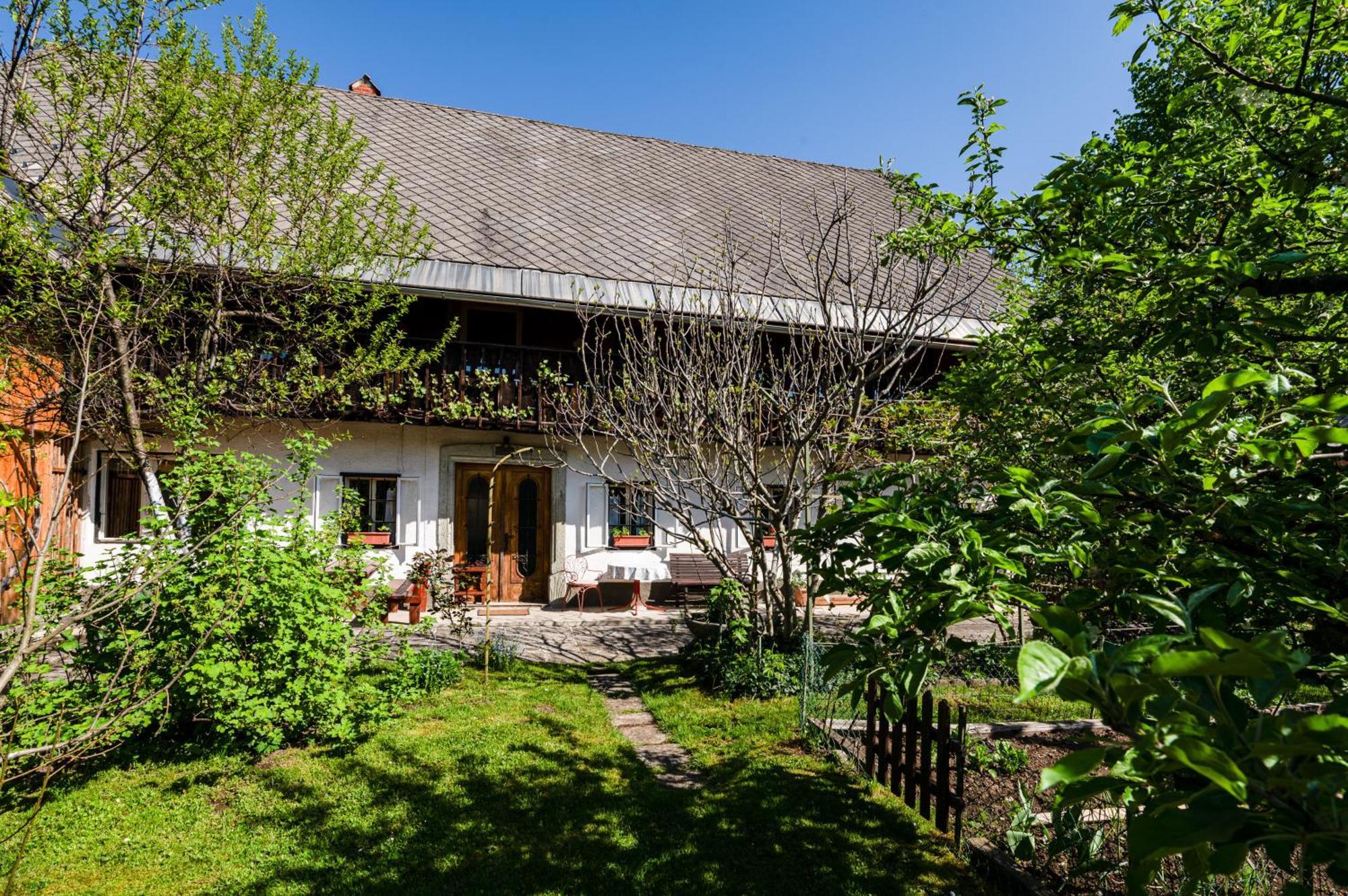 House, Garden And A Green Cat Bled Bagian luar foto