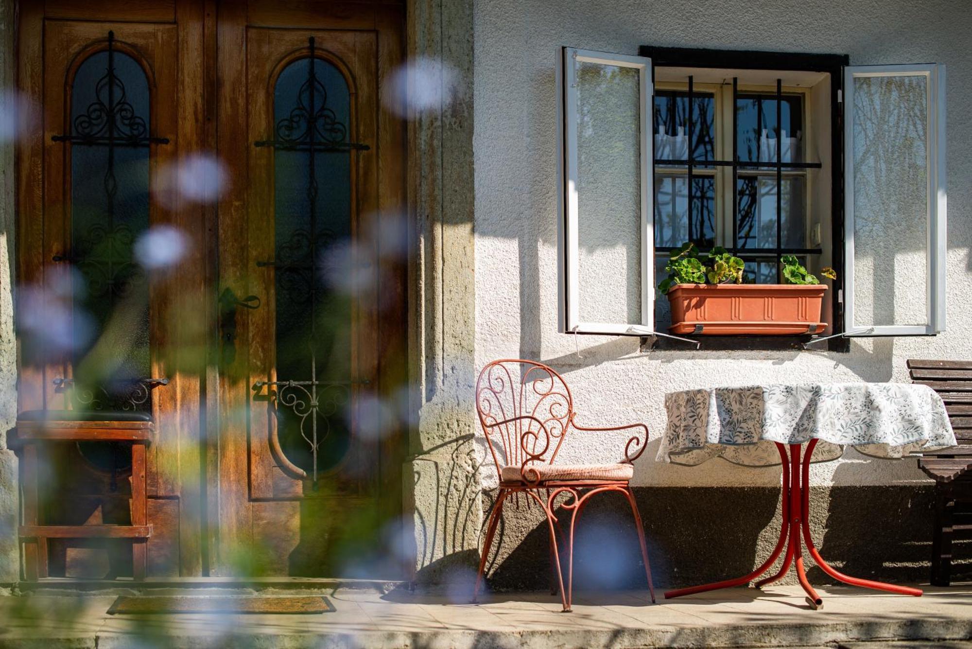 House, Garden And A Green Cat Bled Bagian luar foto