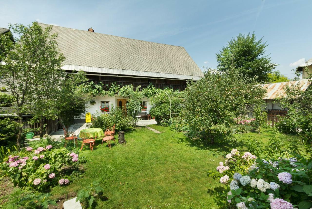 House, Garden And A Green Cat Bled Bagian luar foto